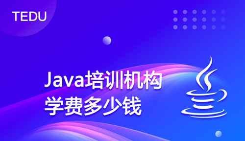 成人編程班大概多少錢？